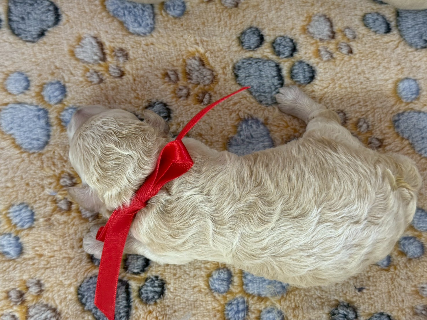 赤ちゃん写真1-3