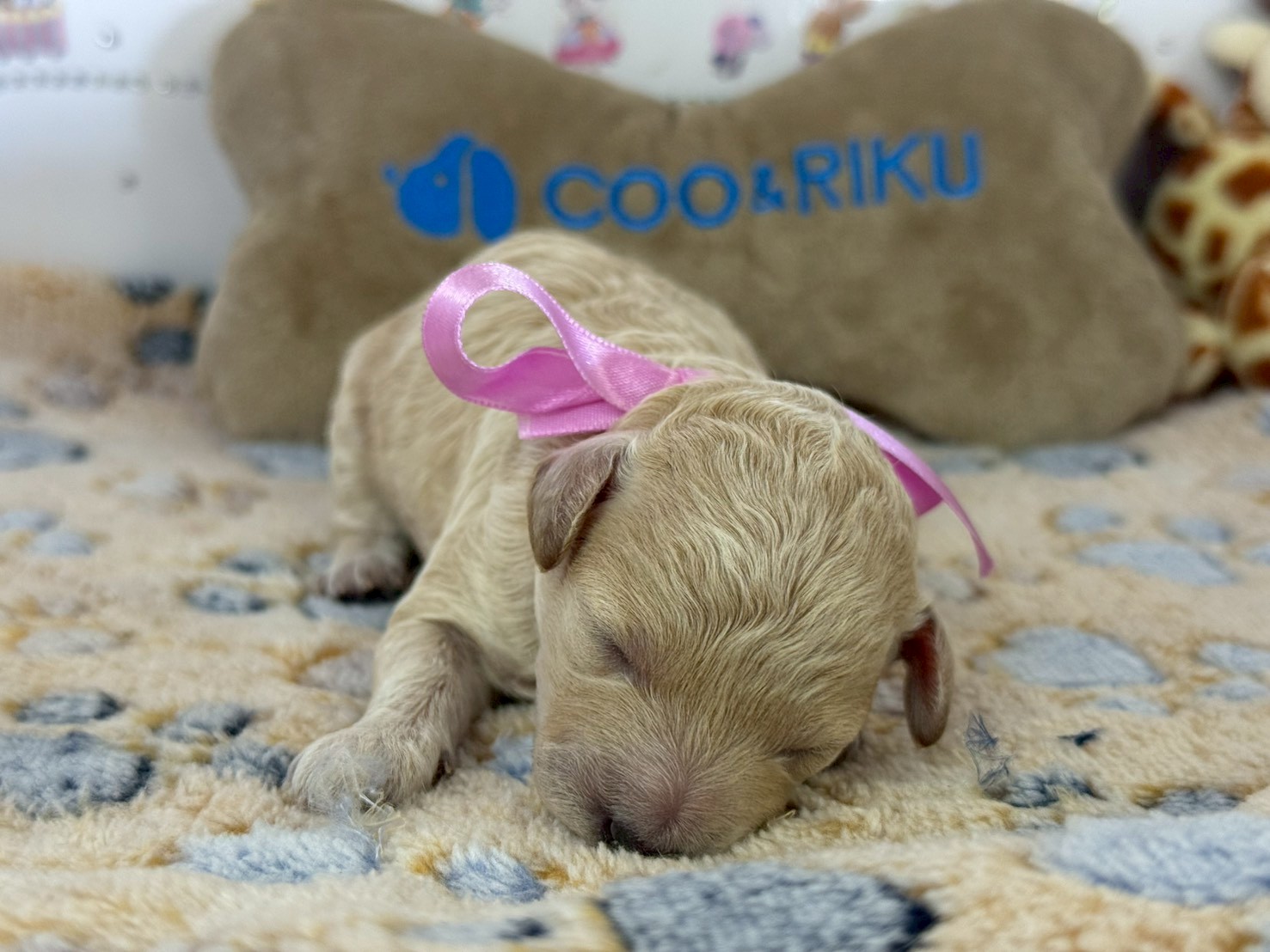 赤ちゃん写真1-1