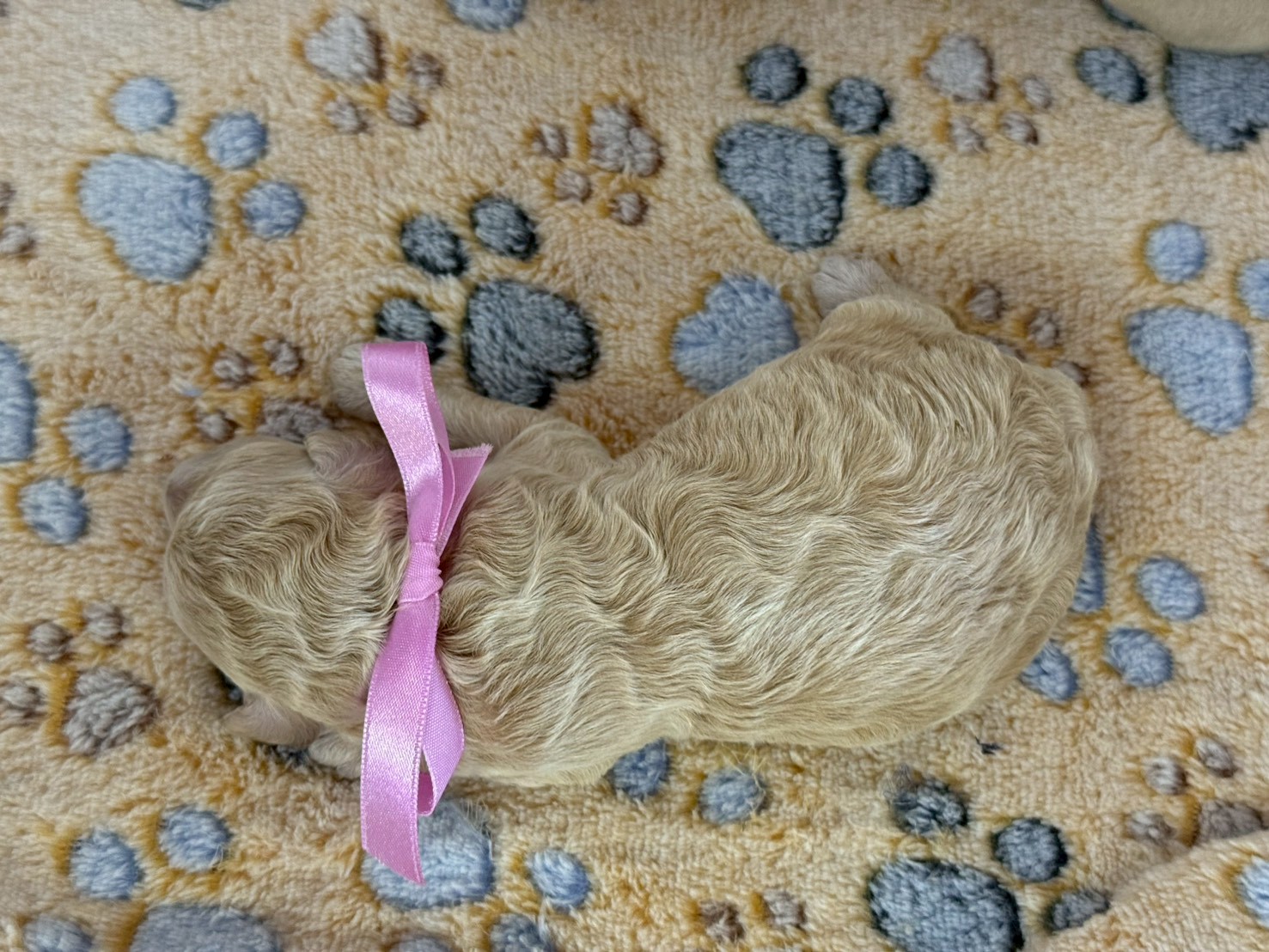 赤ちゃん写真1-3