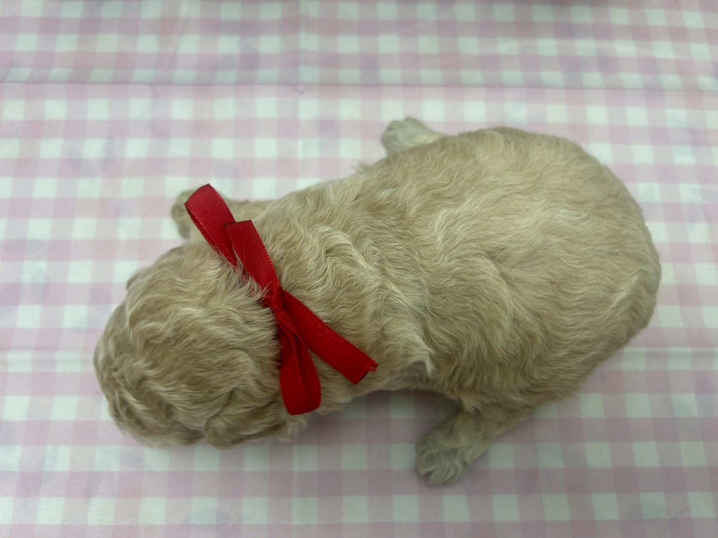 赤ちゃん写真2-3