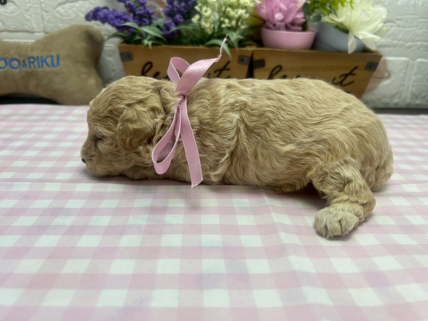 赤ちゃん写真2-2