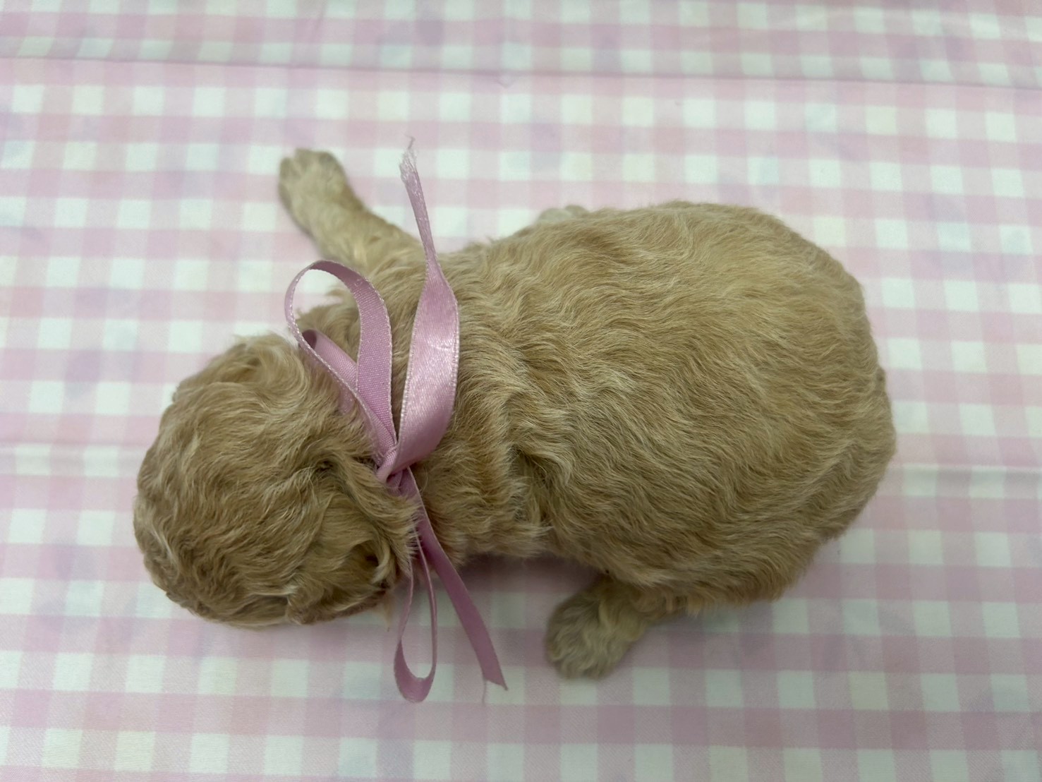 赤ちゃん写真2-3