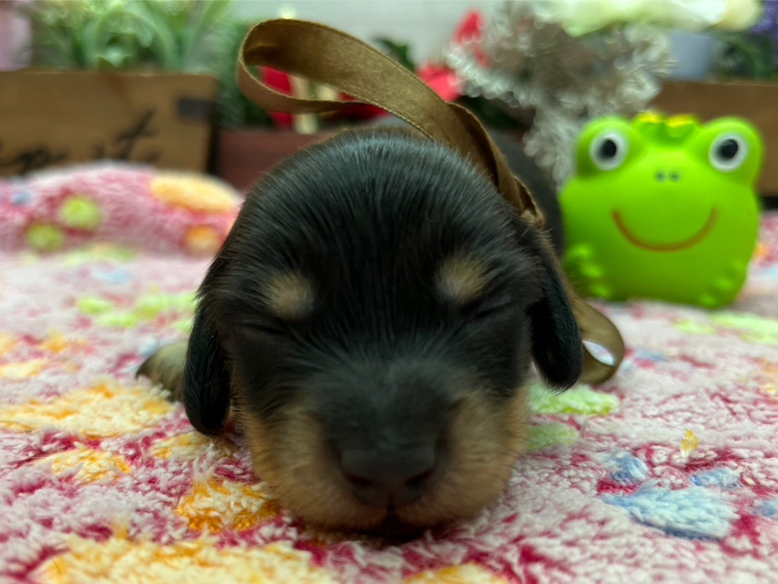 赤ちゃん写真1-1