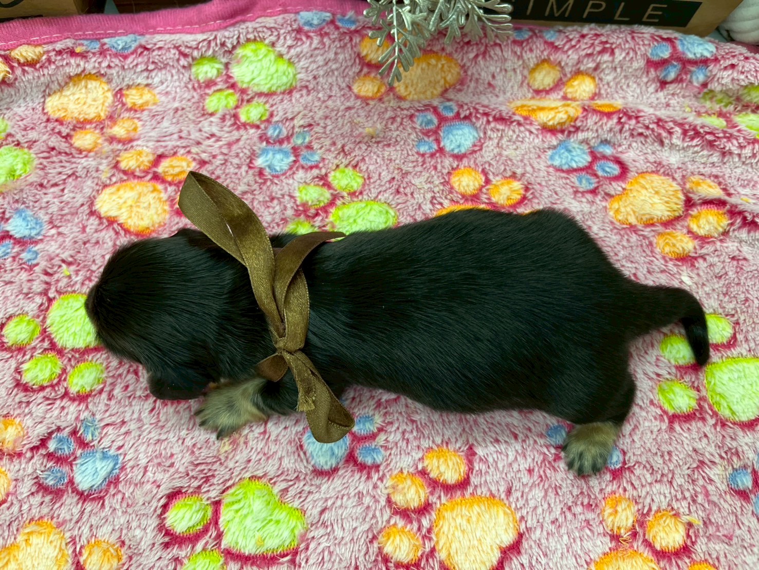 赤ちゃん写真1-3