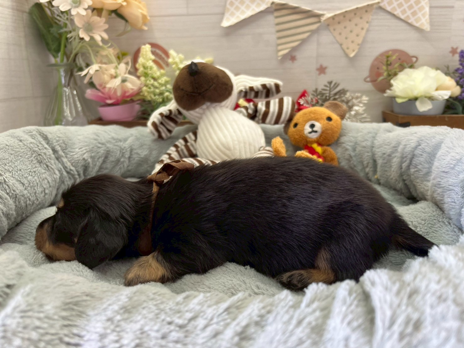 赤ちゃん写真2-2