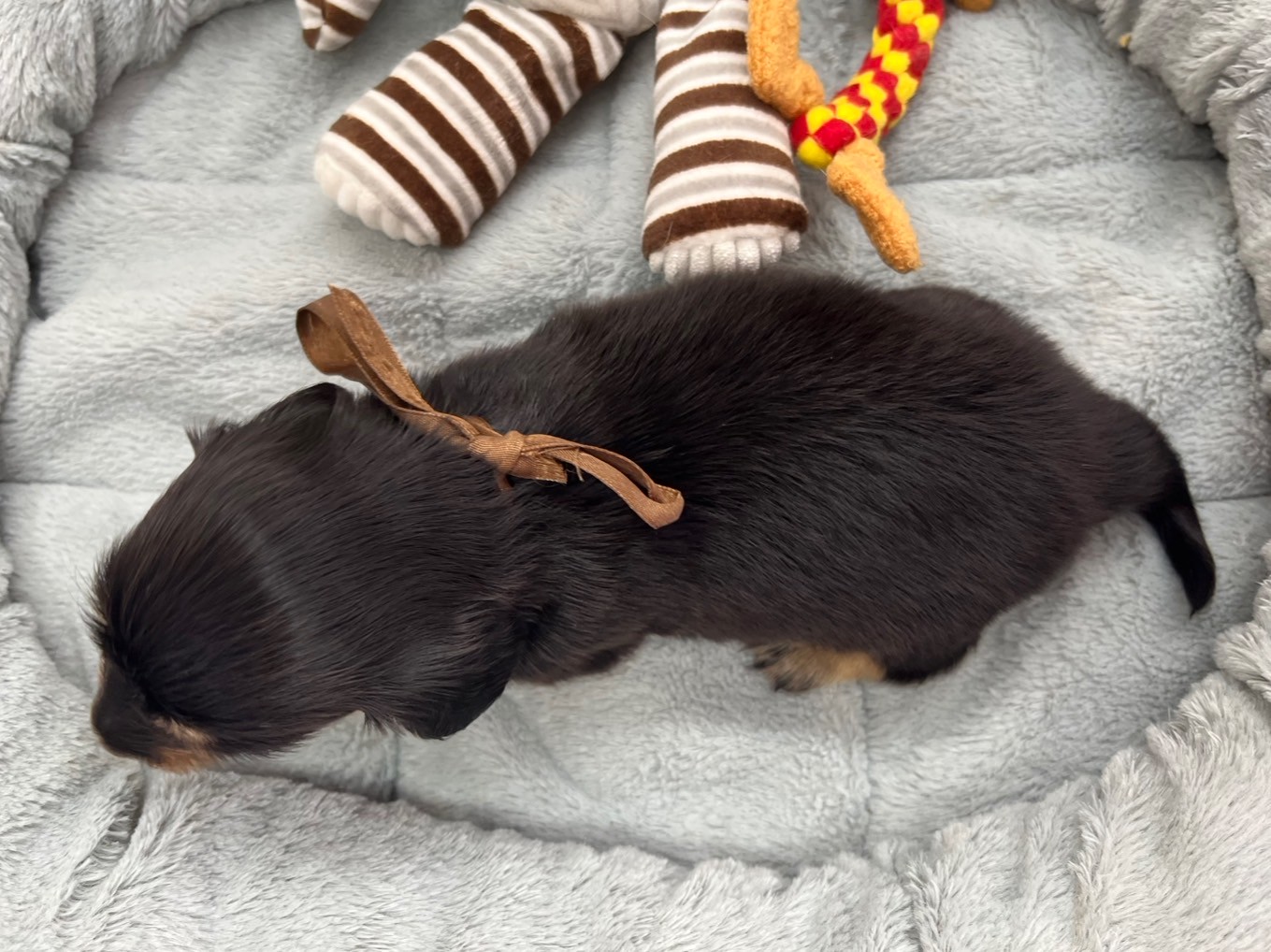 赤ちゃん写真2-3