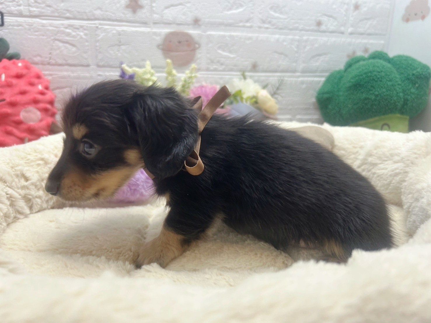 赤ちゃん写真3-2