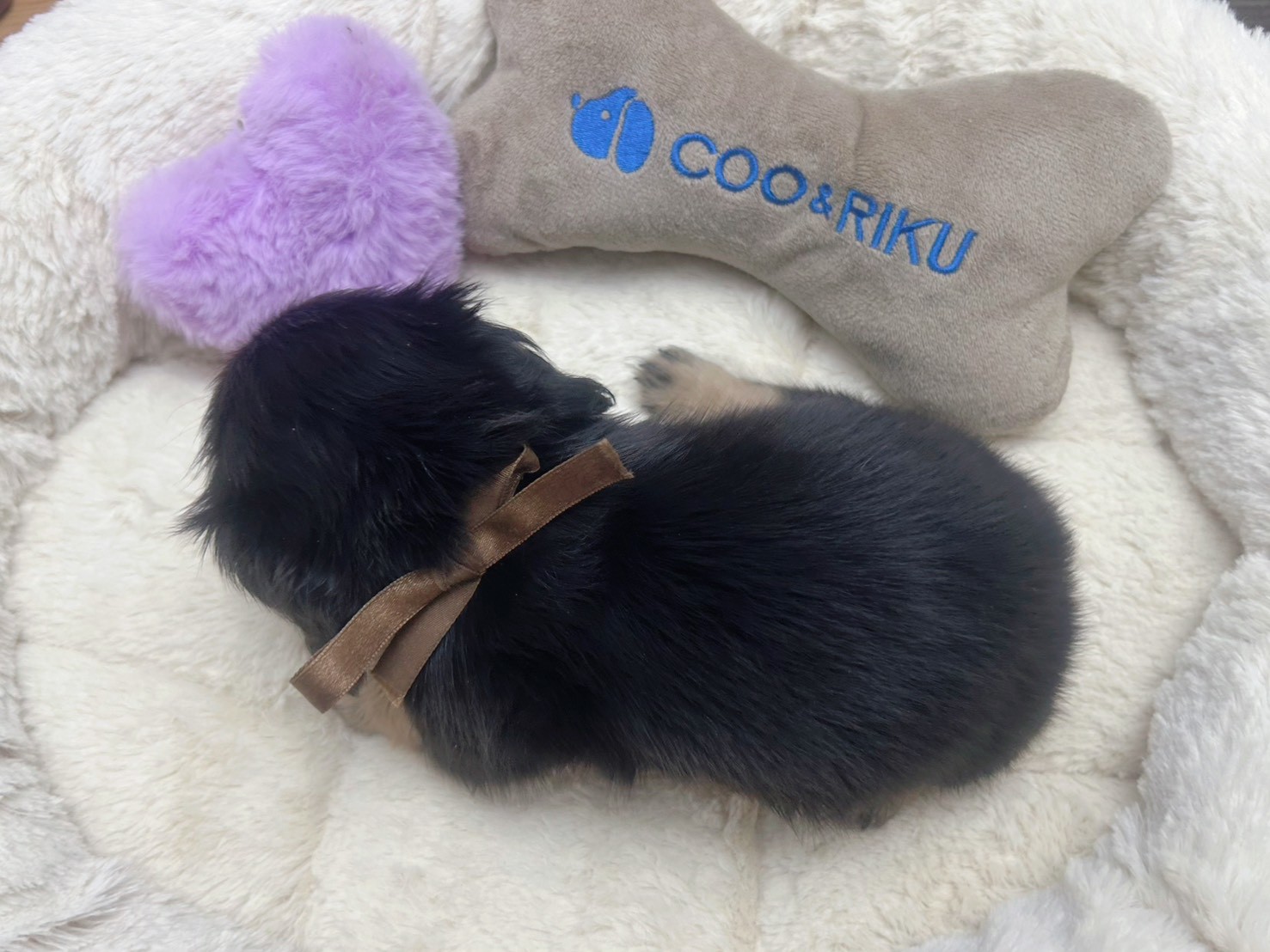 赤ちゃん写真3-3