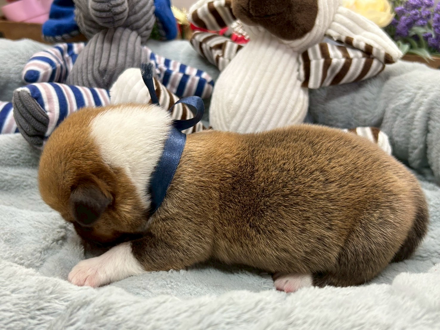 赤ちゃん写真1-2