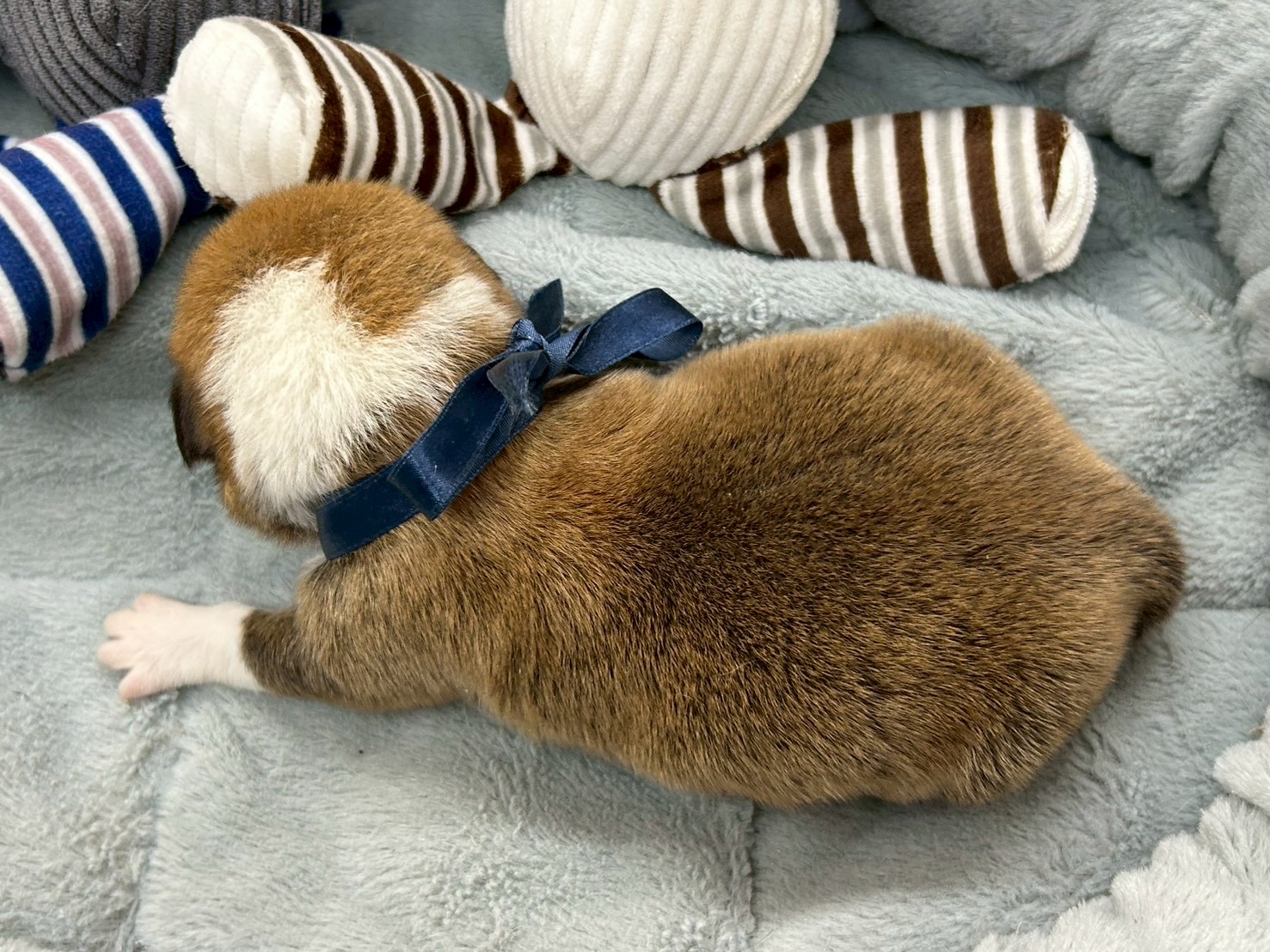 赤ちゃん写真1-3
