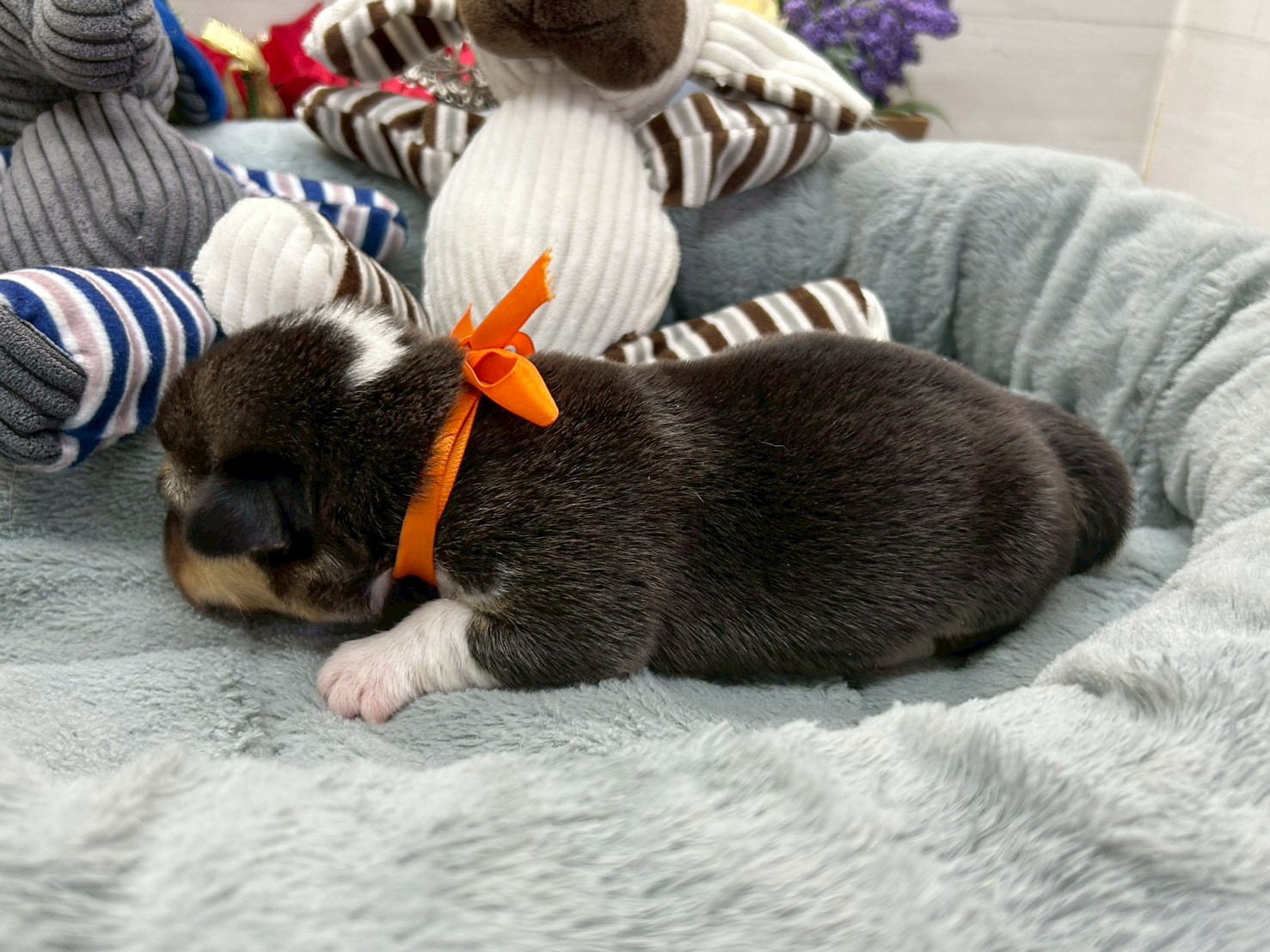 赤ちゃん写真1-2