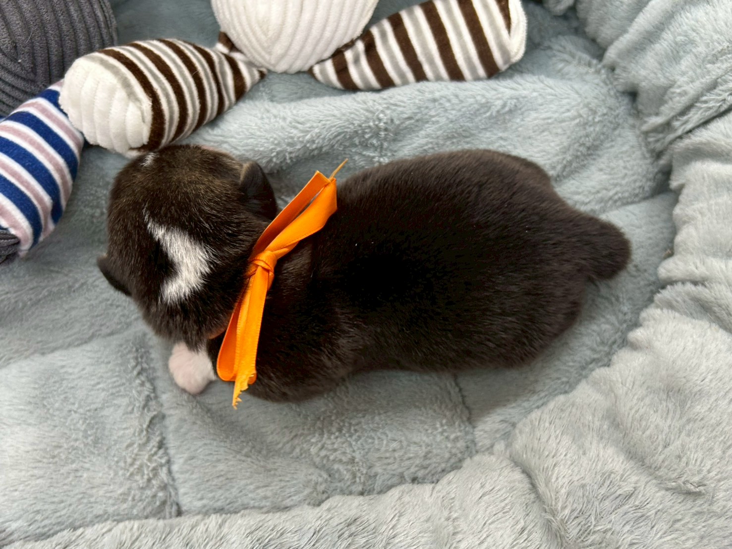 赤ちゃん写真1-3