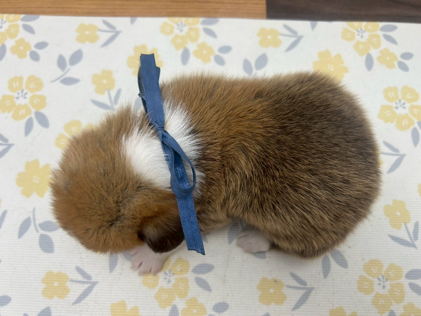 赤ちゃん写真2-3