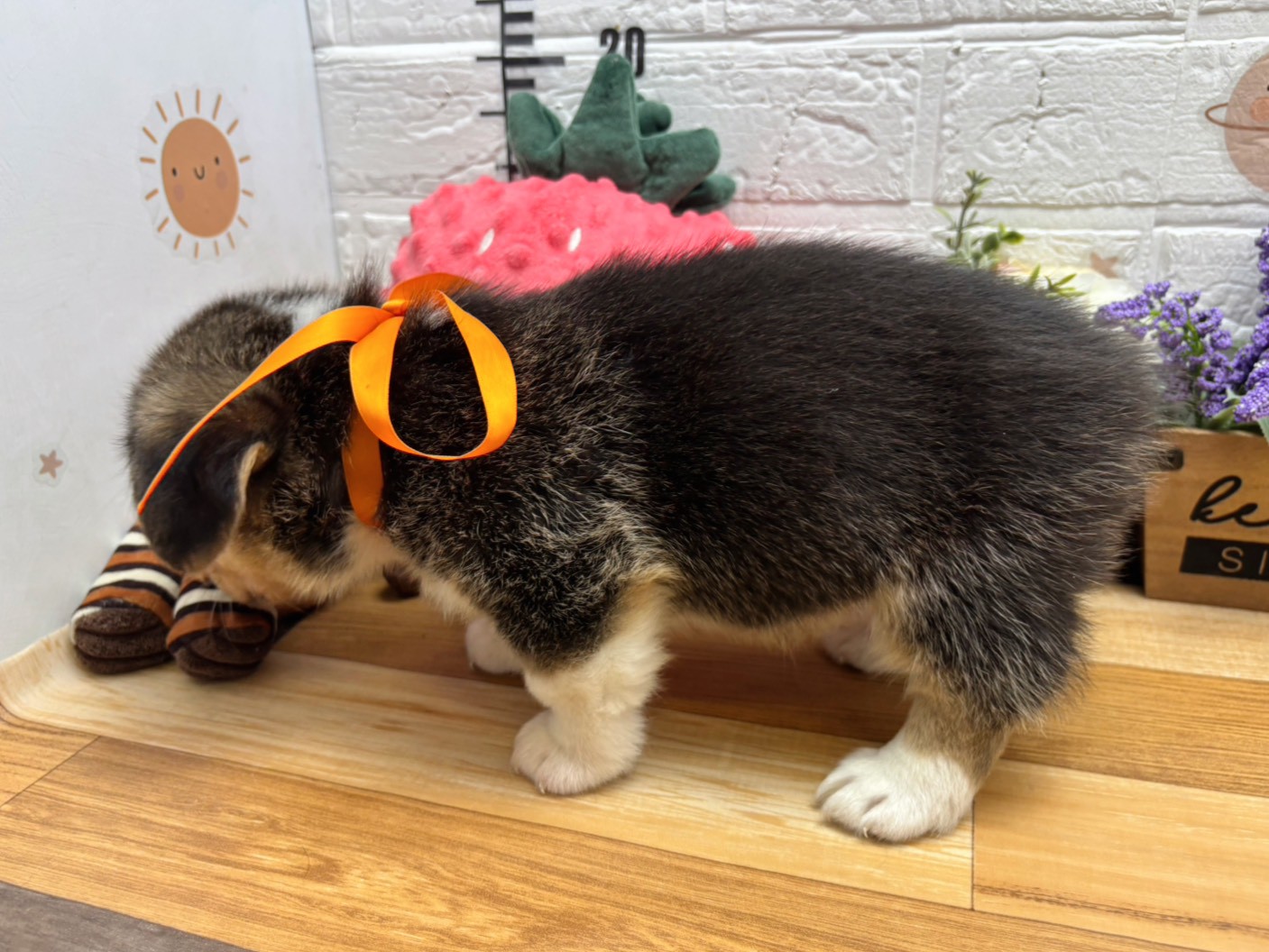 赤ちゃん写真3-2