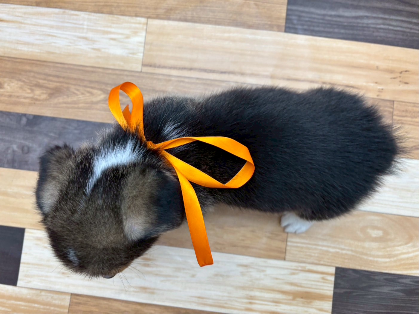 赤ちゃん写真3-3