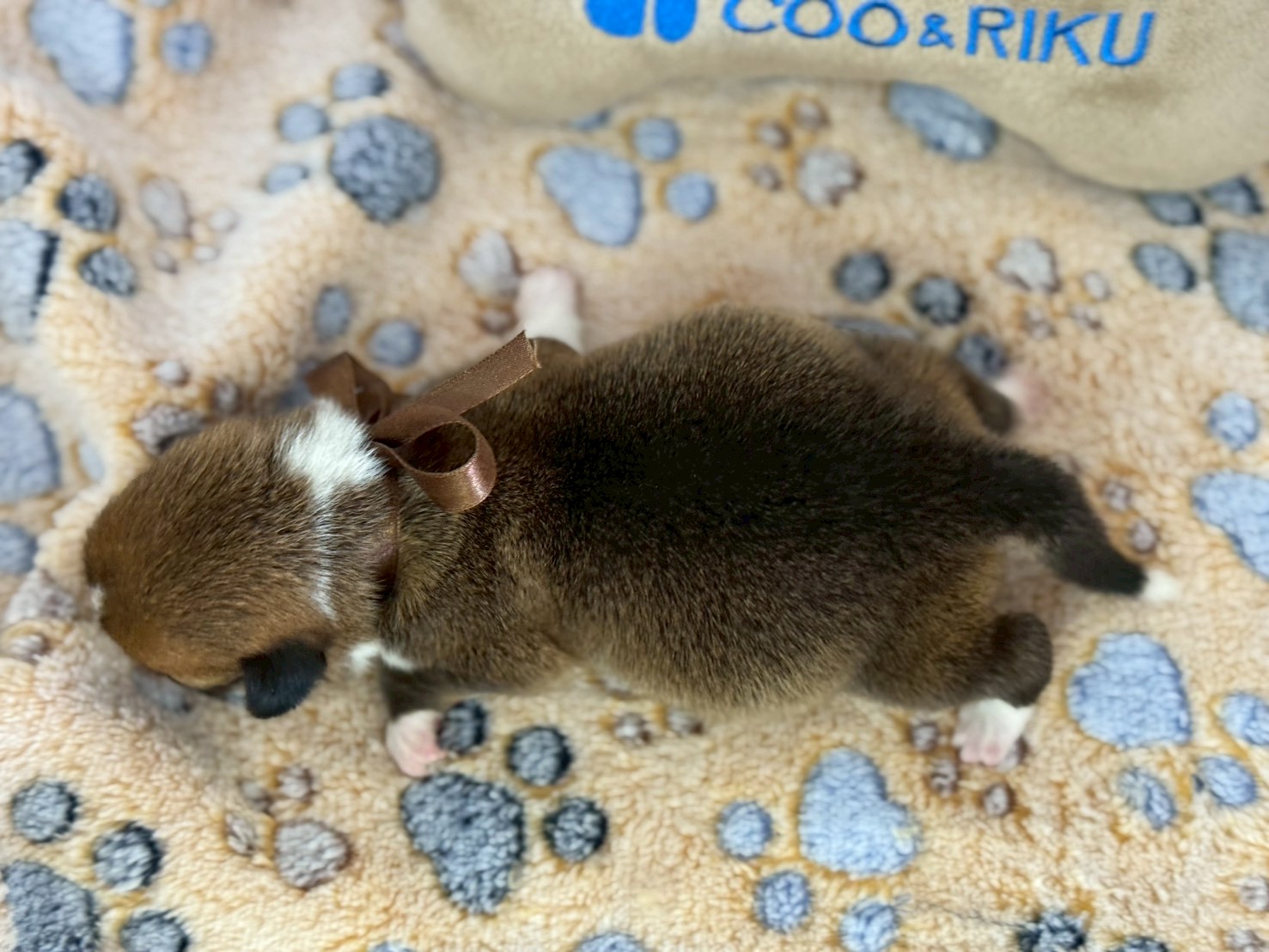 赤ちゃん写真1-3