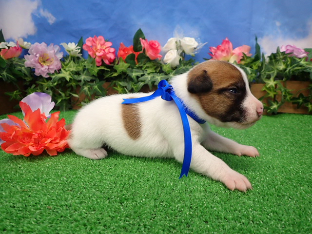 赤ちゃん写真2-2