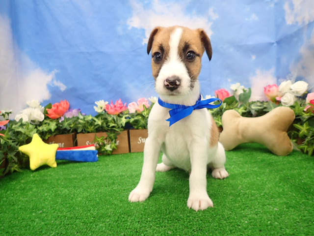 赤ちゃん写真3-1