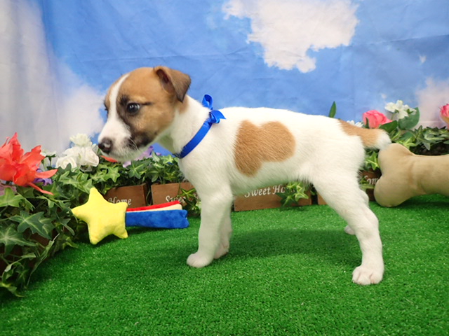 赤ちゃん写真3-2