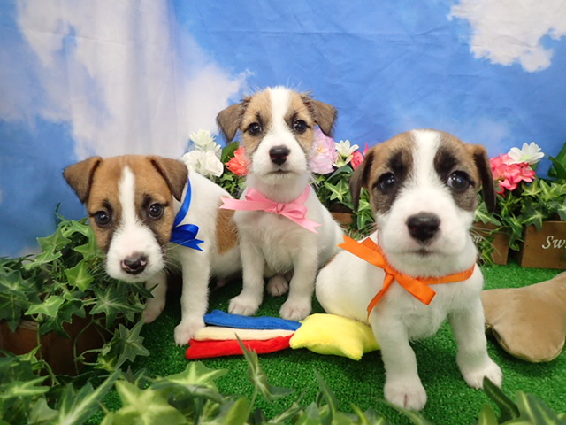 赤ちゃん写真3-3