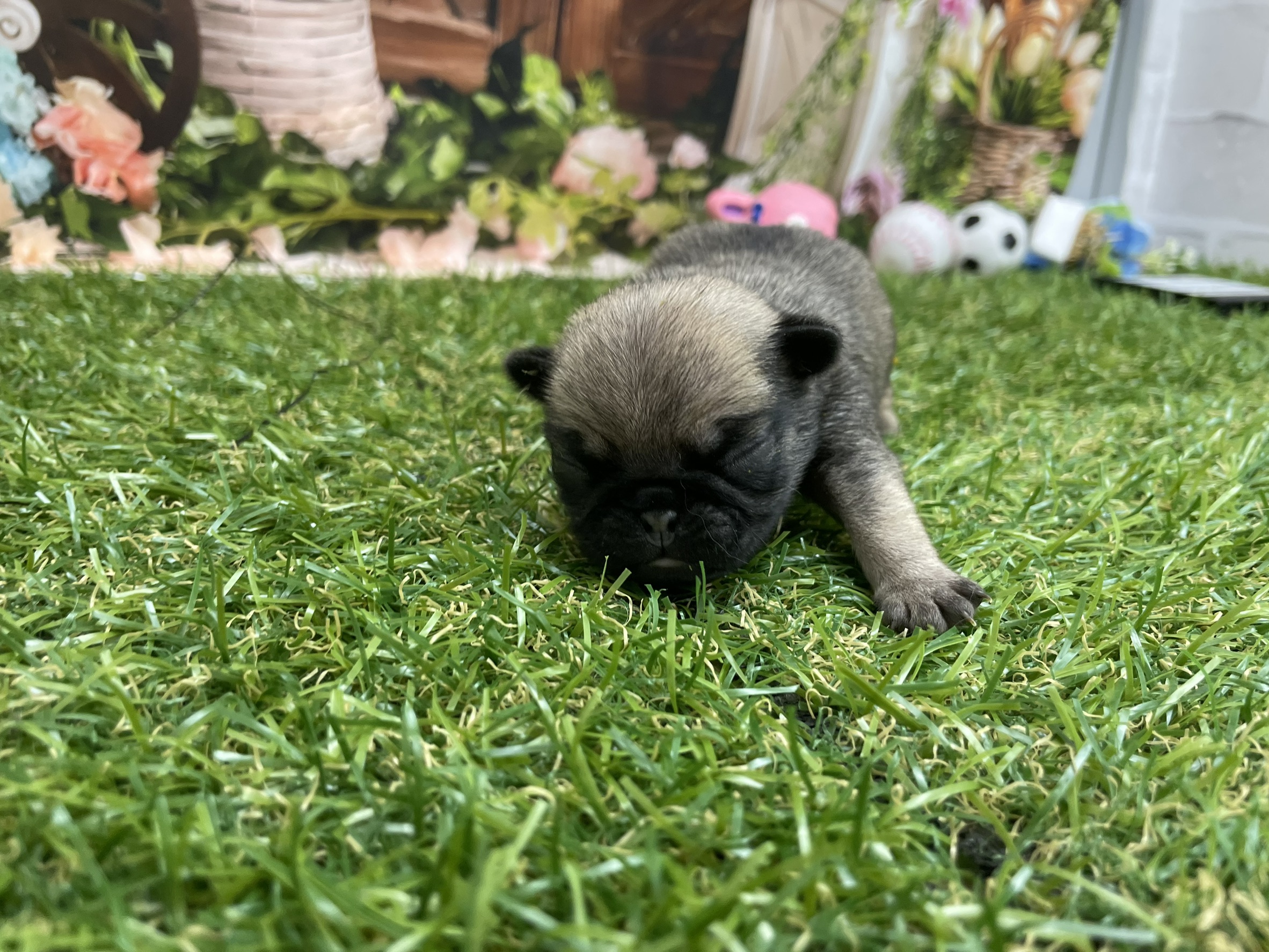 赤ちゃん写真1-1