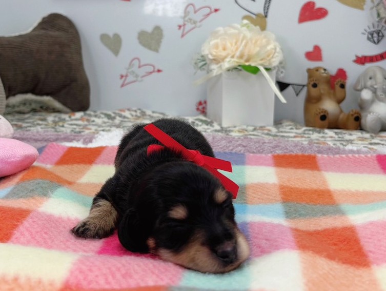 赤ちゃん写真1-1