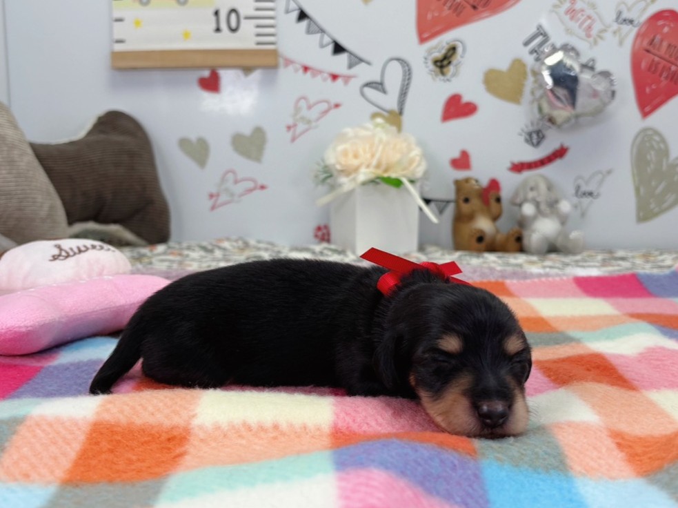 赤ちゃん写真1-2