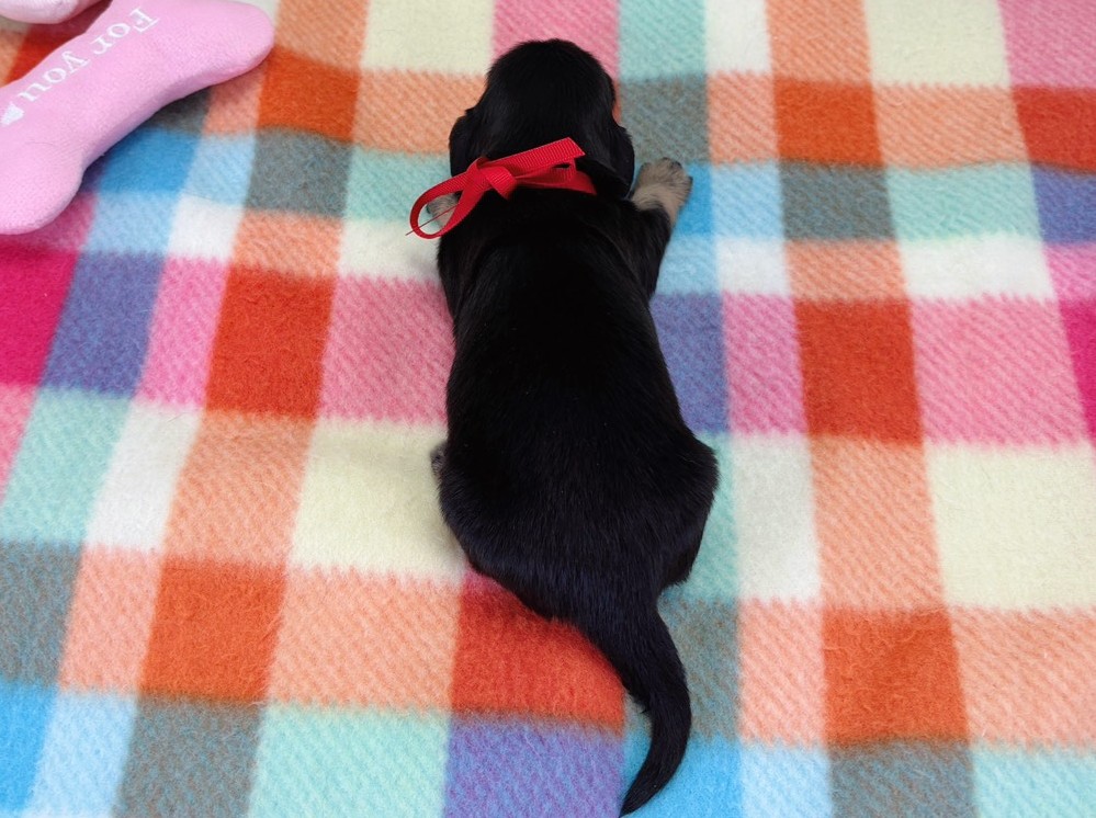 赤ちゃん写真1-3