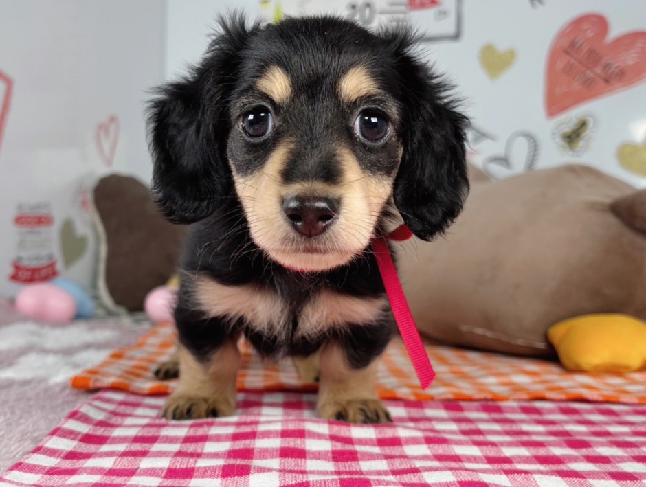 赤ちゃん写真2-1