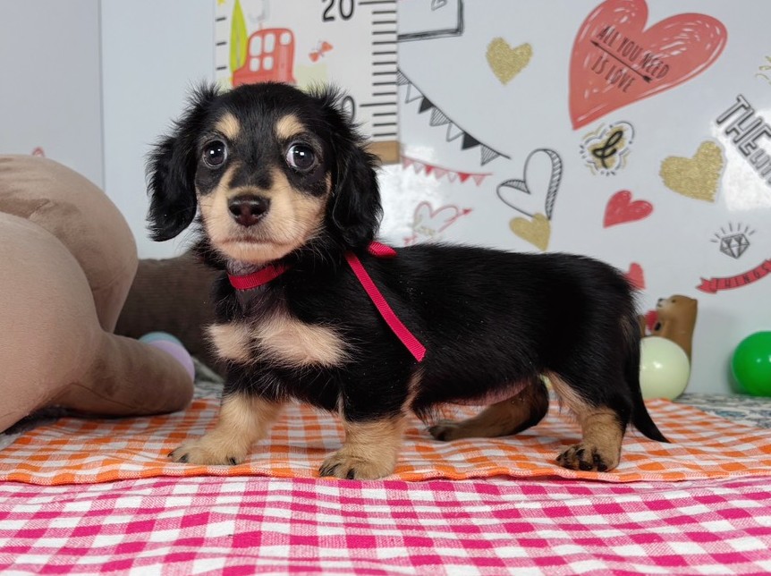 赤ちゃん写真2-2