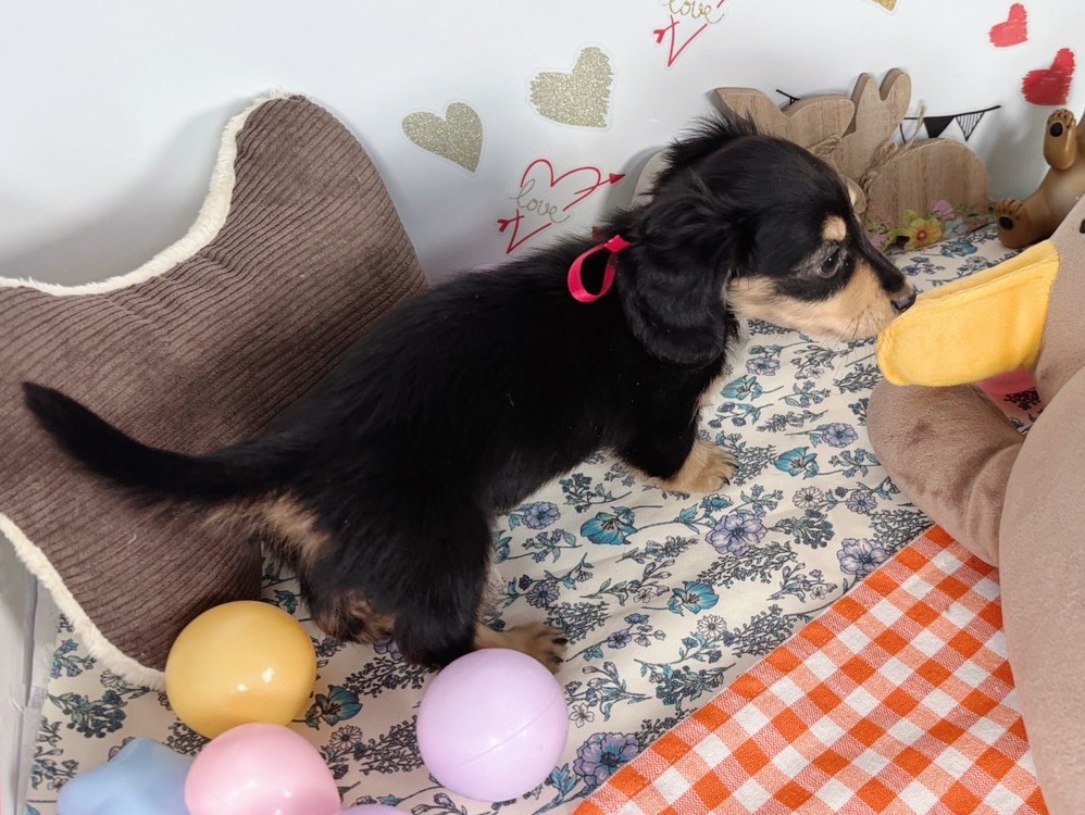 赤ちゃん写真2-3