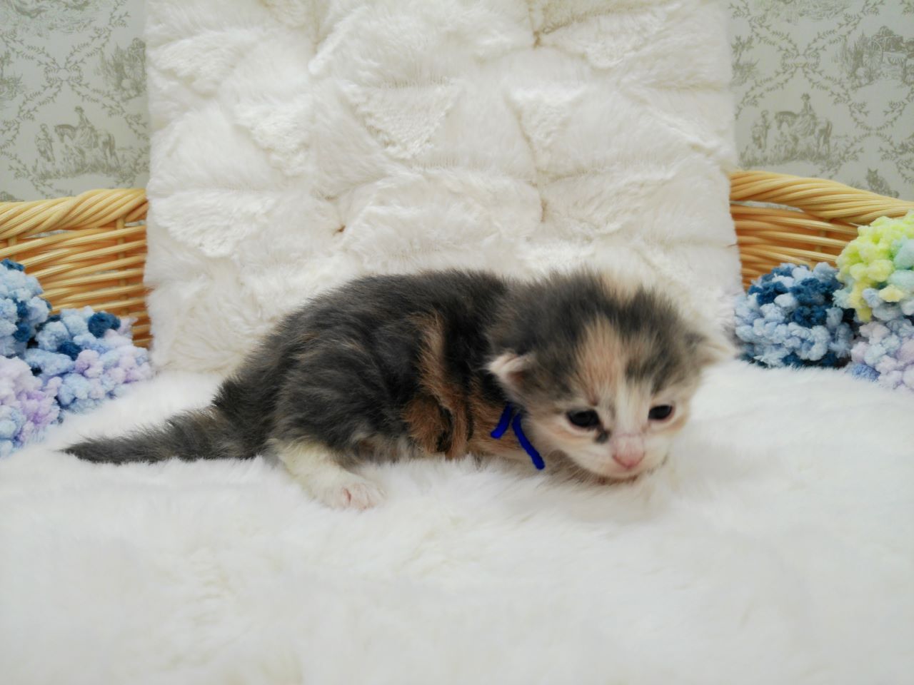 赤ちゃん写真1-2