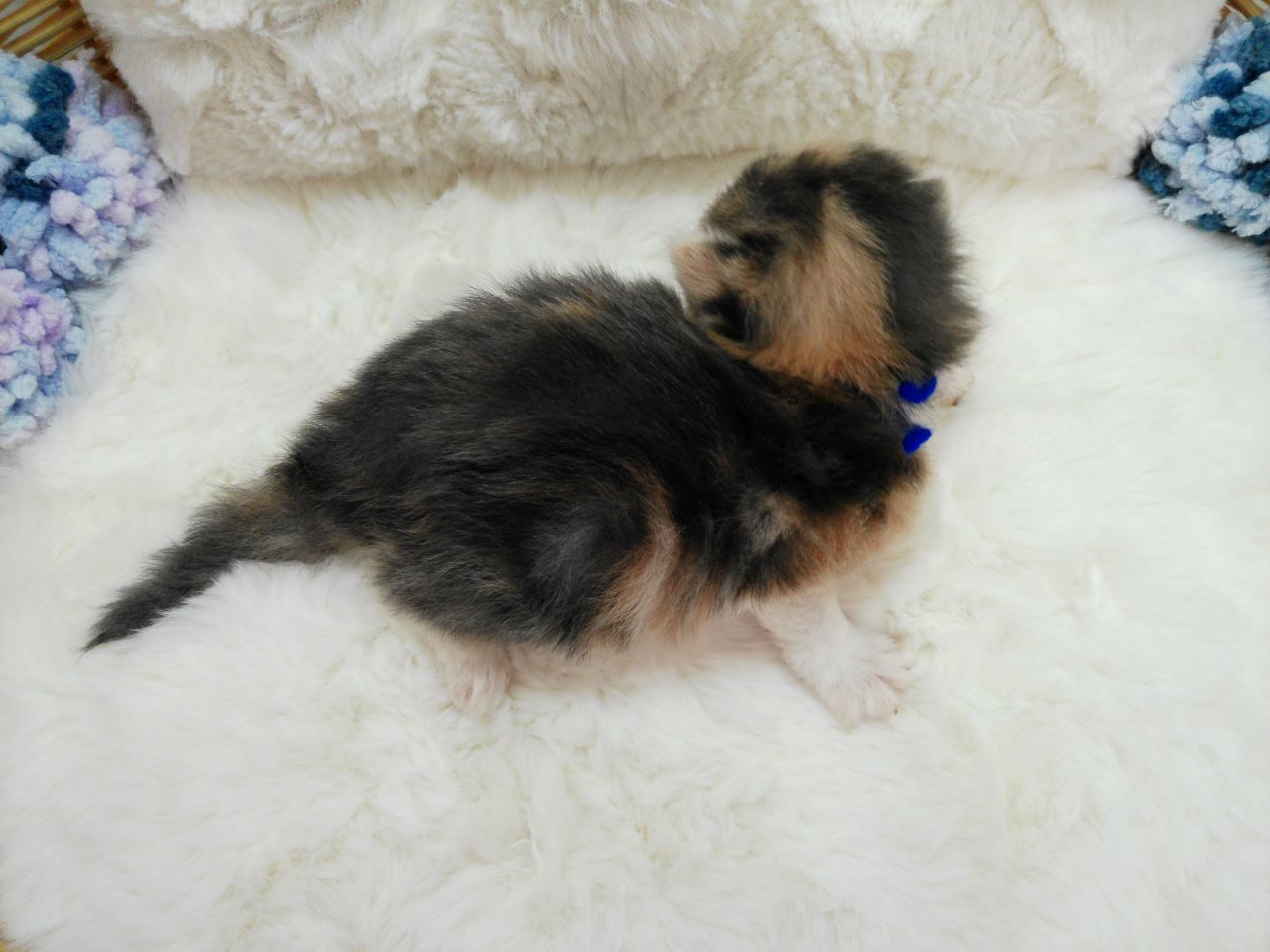 赤ちゃん写真1-3