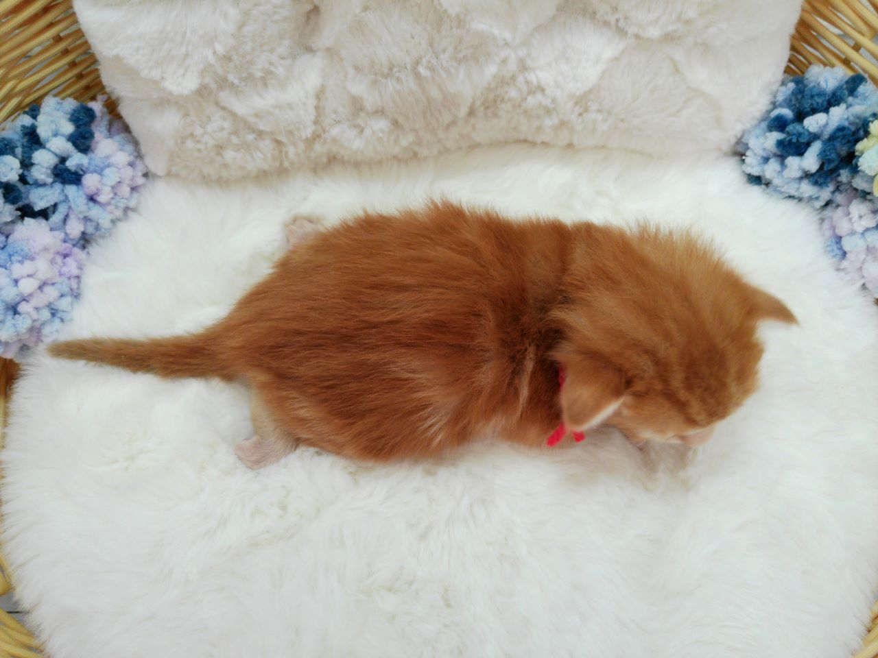 赤ちゃん写真1-3