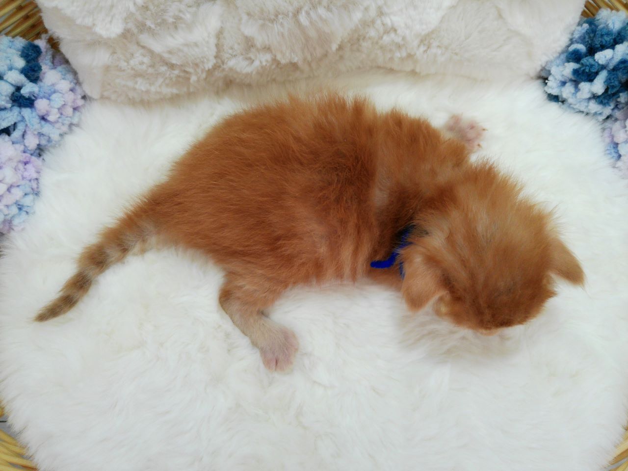 赤ちゃん写真1-3