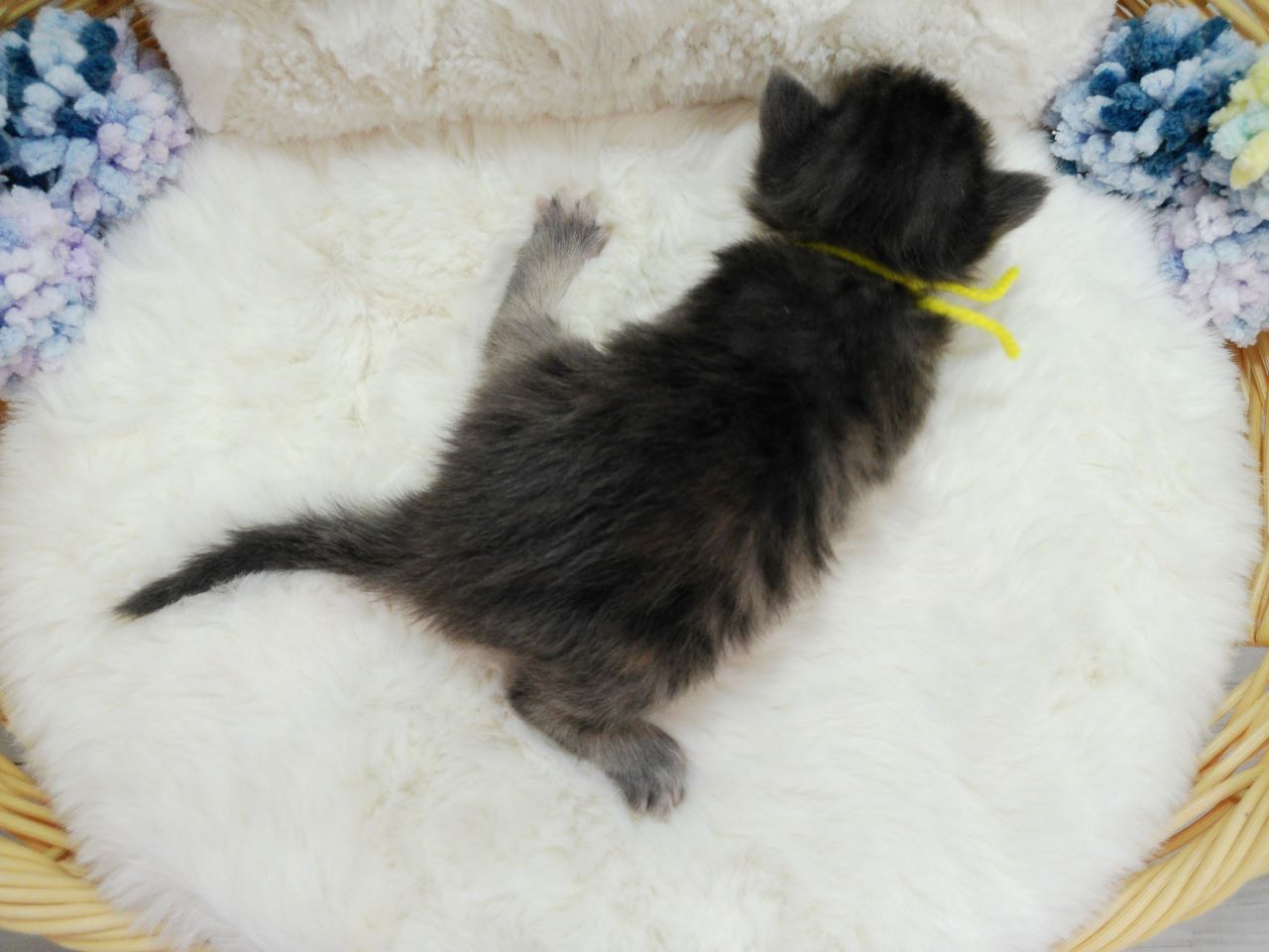 赤ちゃん写真1-3