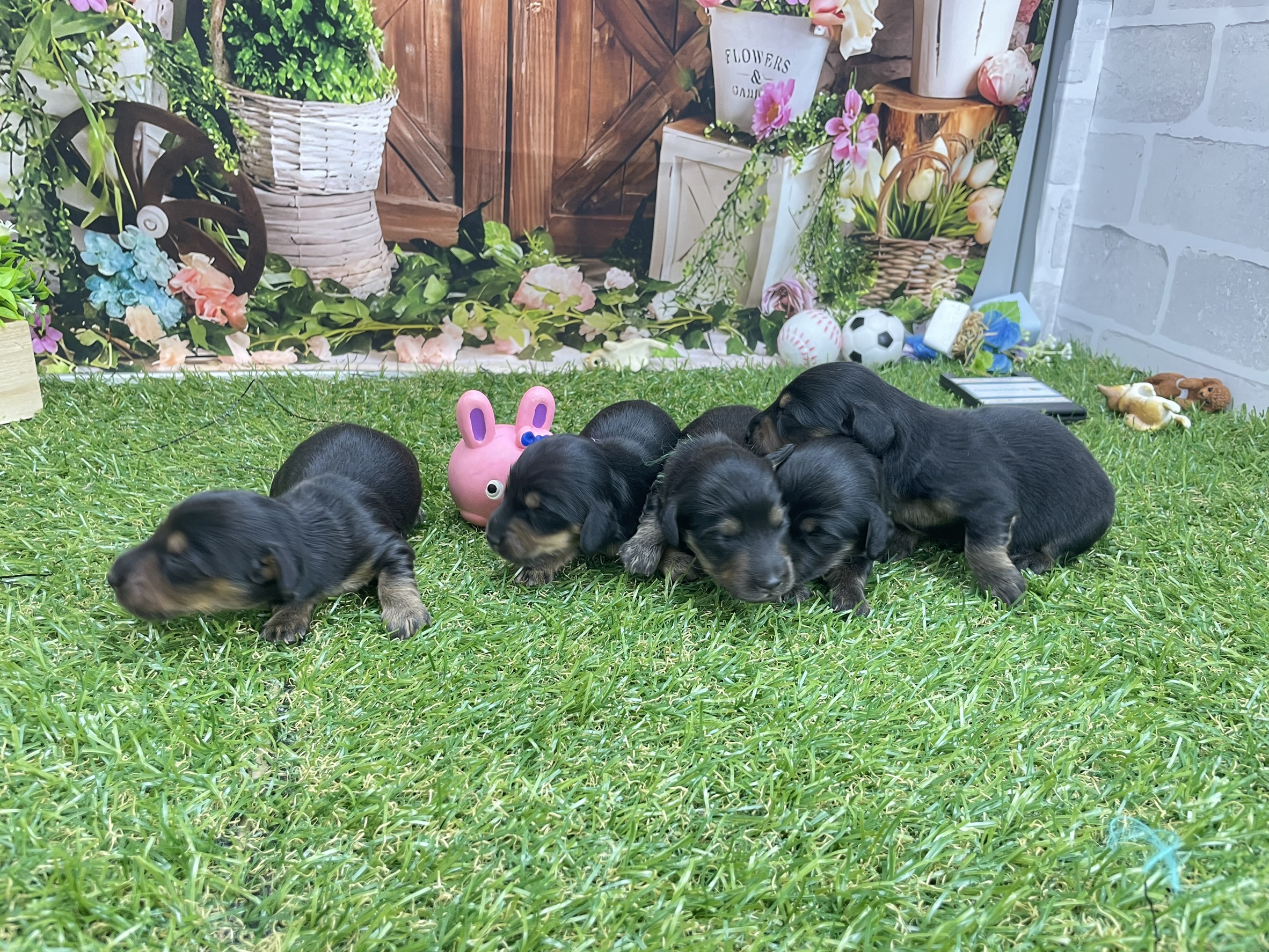 赤ちゃん写真1-3