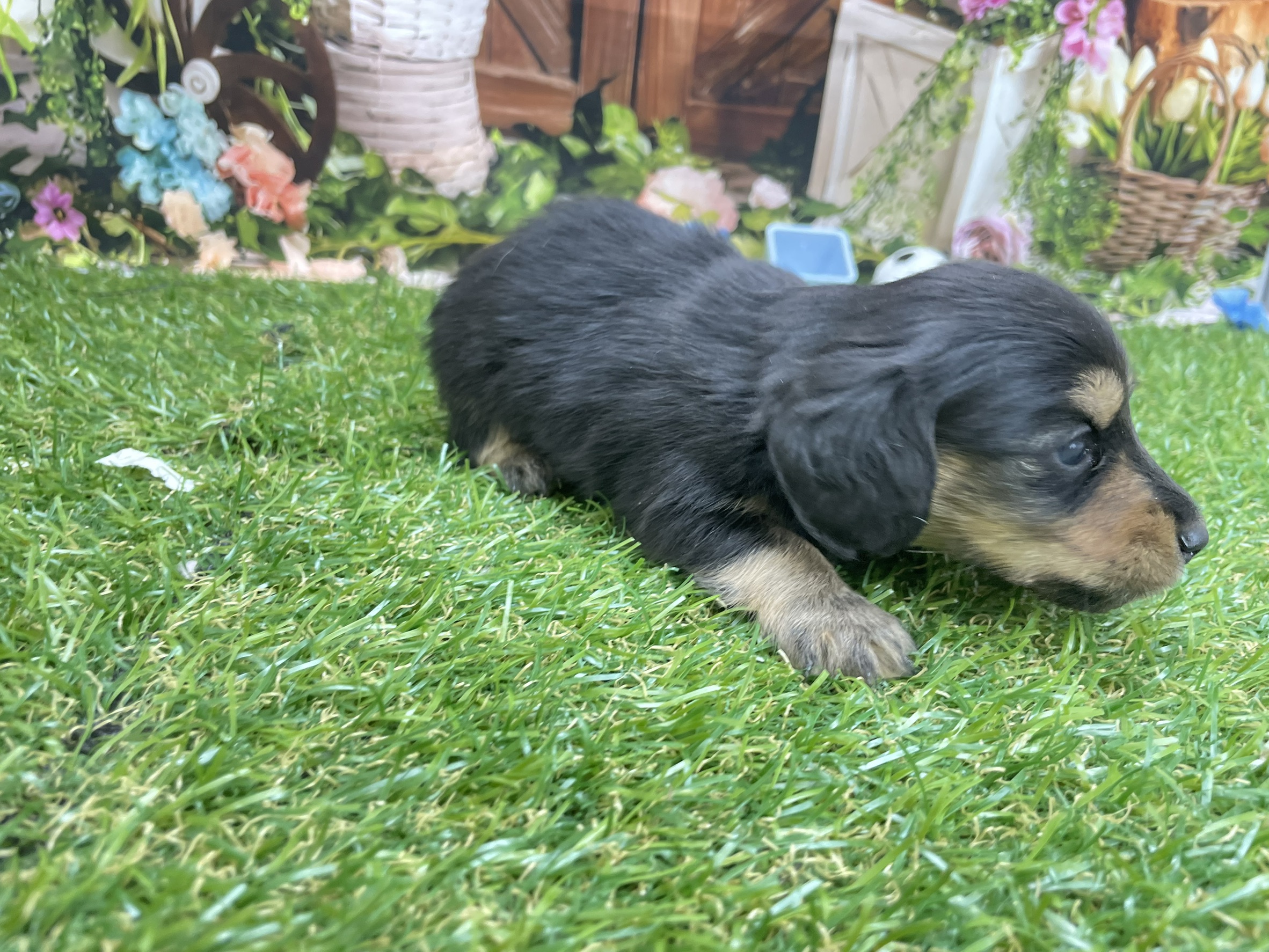 赤ちゃん写真2-1