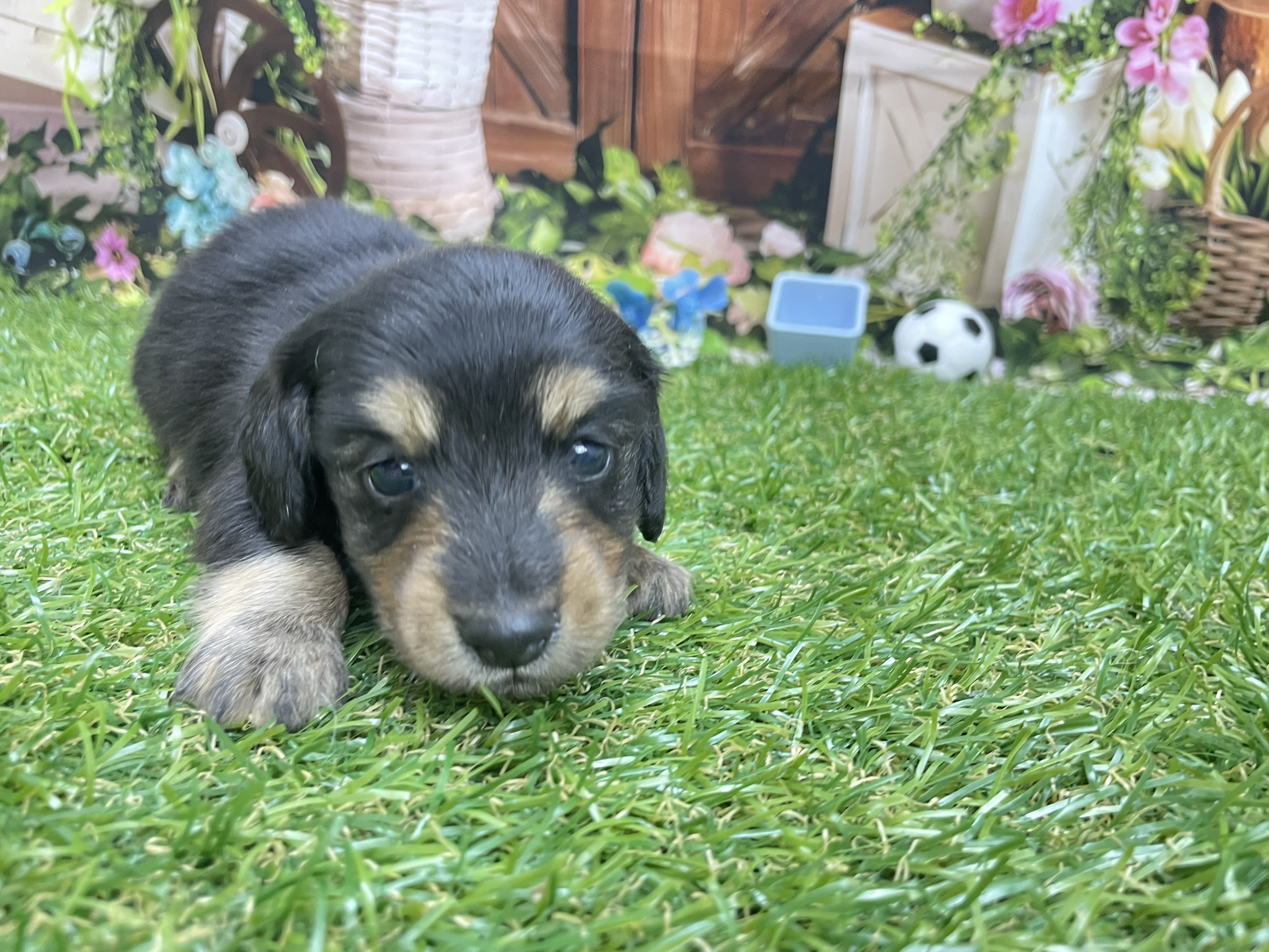 赤ちゃん写真2-2