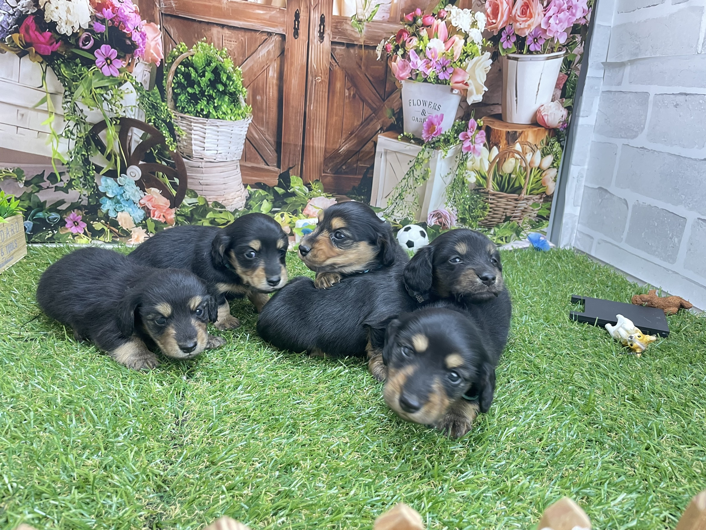 赤ちゃん写真2-3