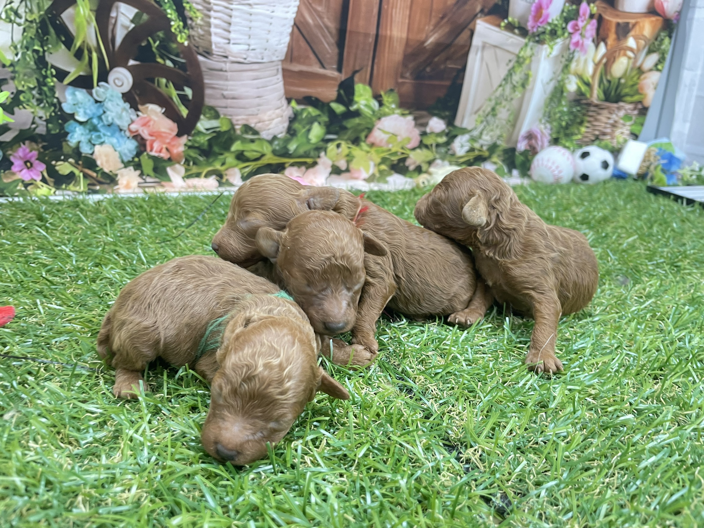 赤ちゃん写真1-3