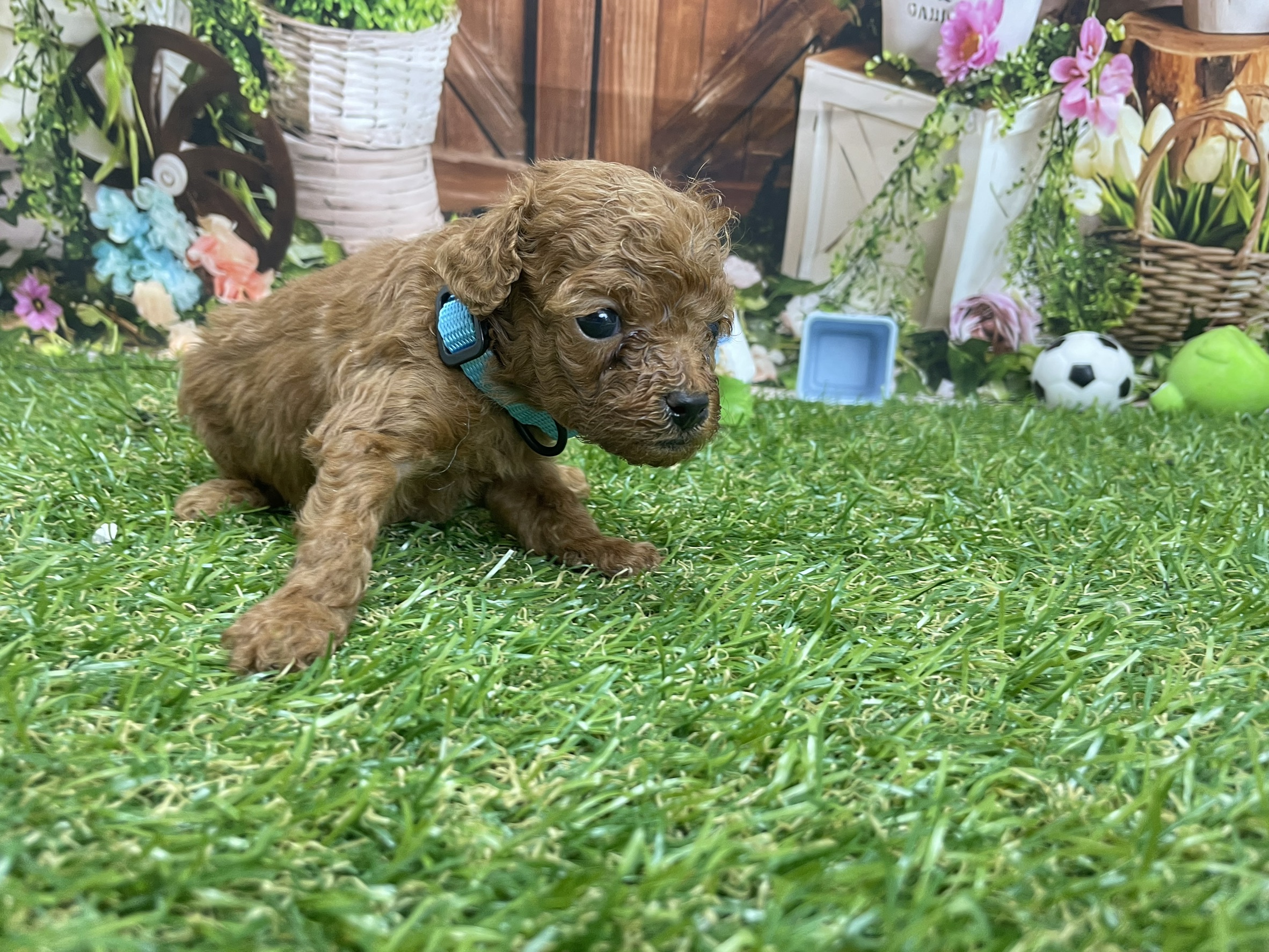 赤ちゃん写真2-1