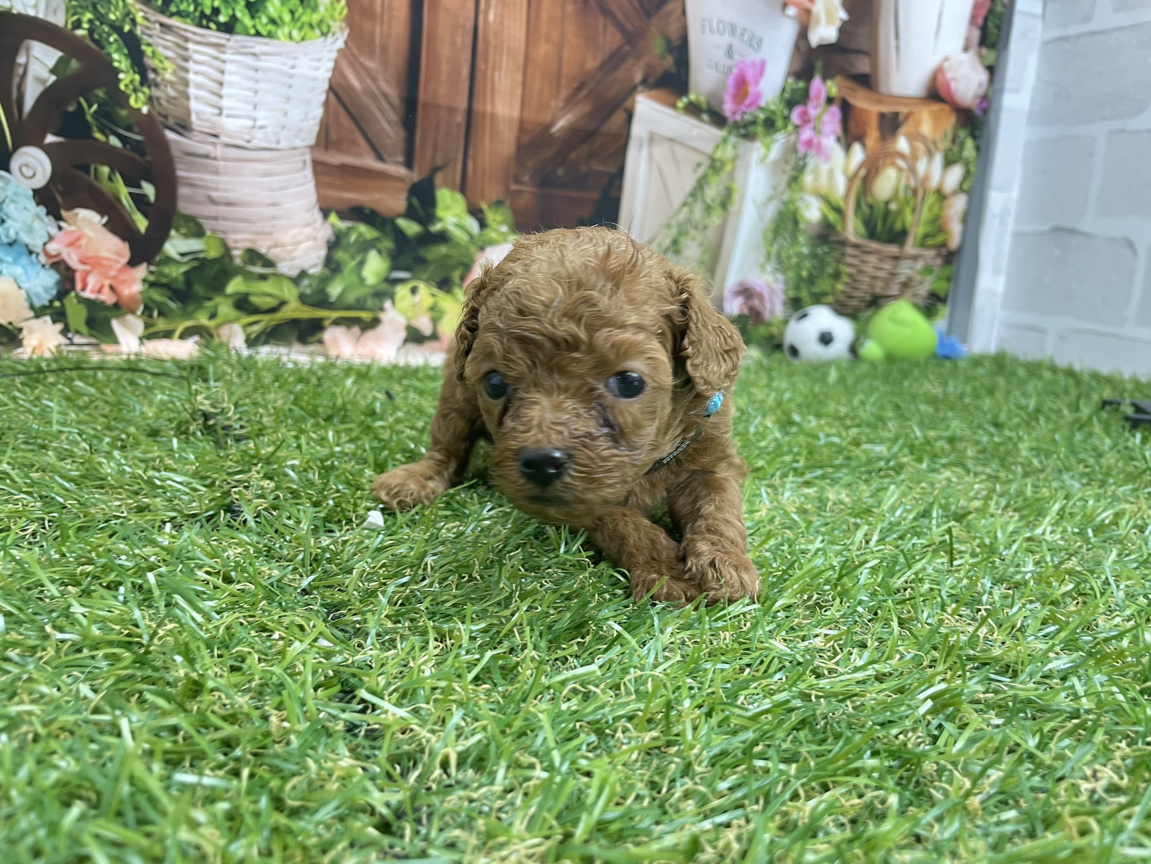 赤ちゃん写真2-2