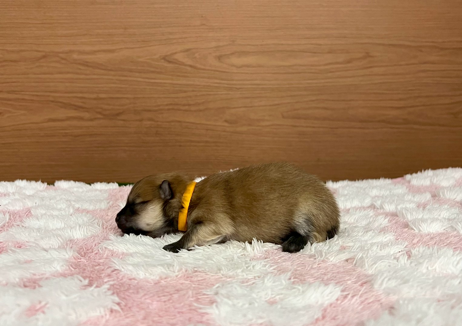 赤ちゃん写真1-2