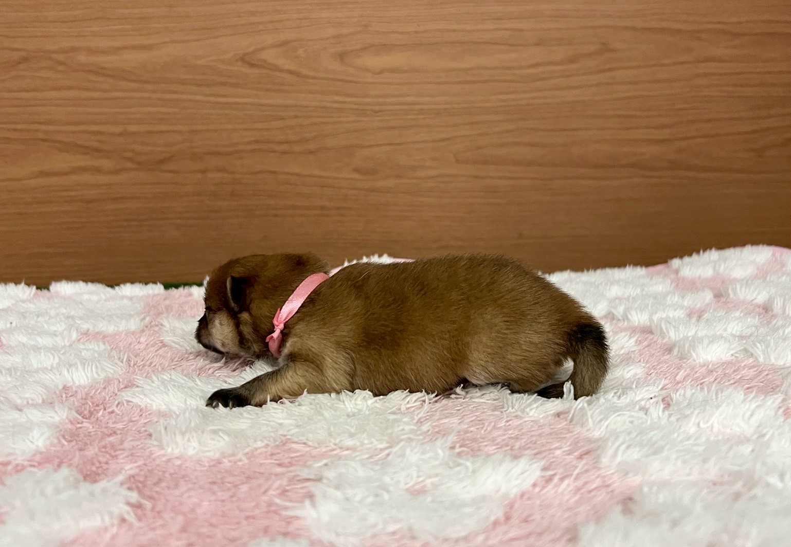 赤ちゃん写真1-2