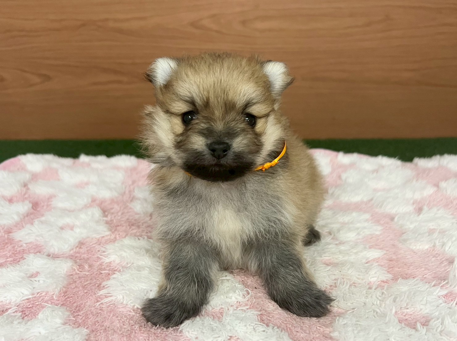 赤ちゃん写真2-1