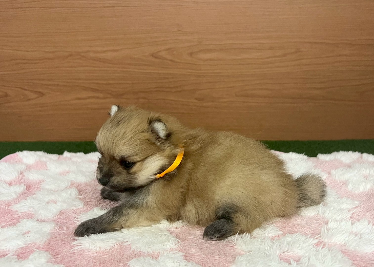 赤ちゃん写真2-2