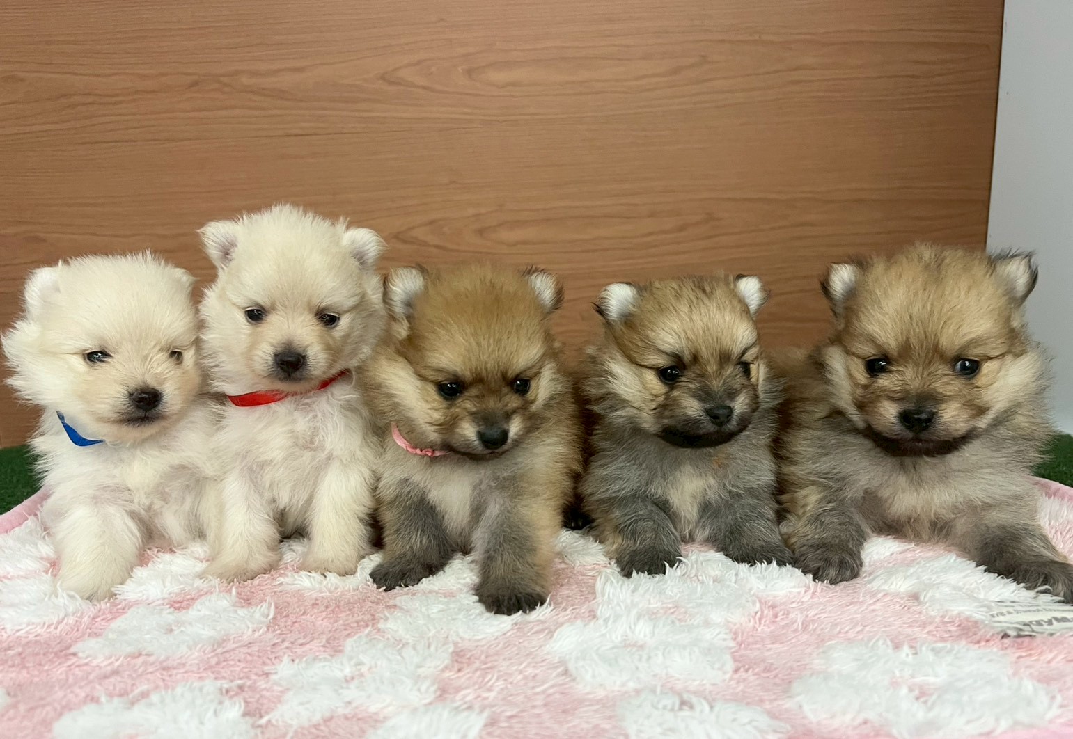 赤ちゃん写真2-3