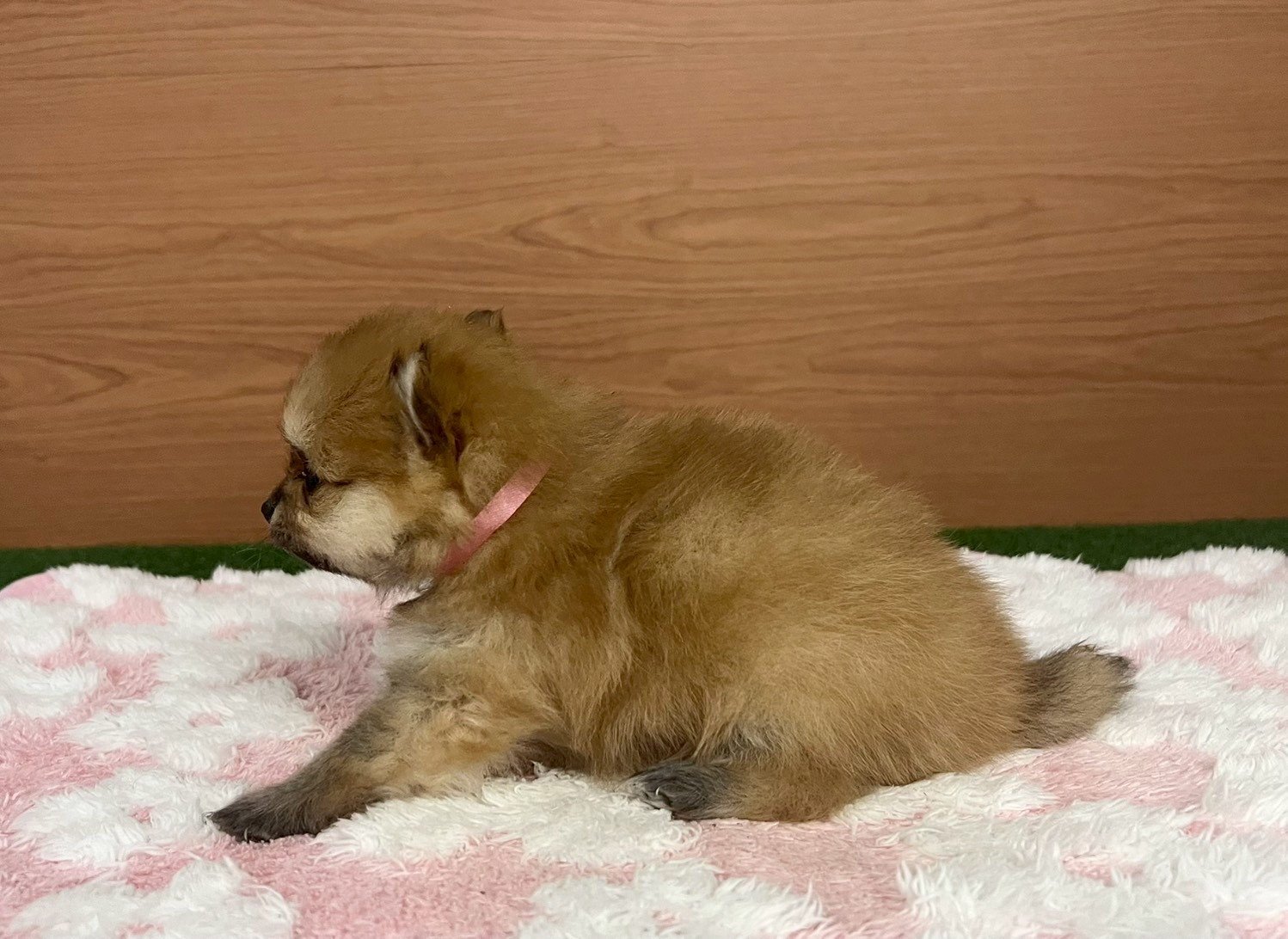 赤ちゃん写真2-2