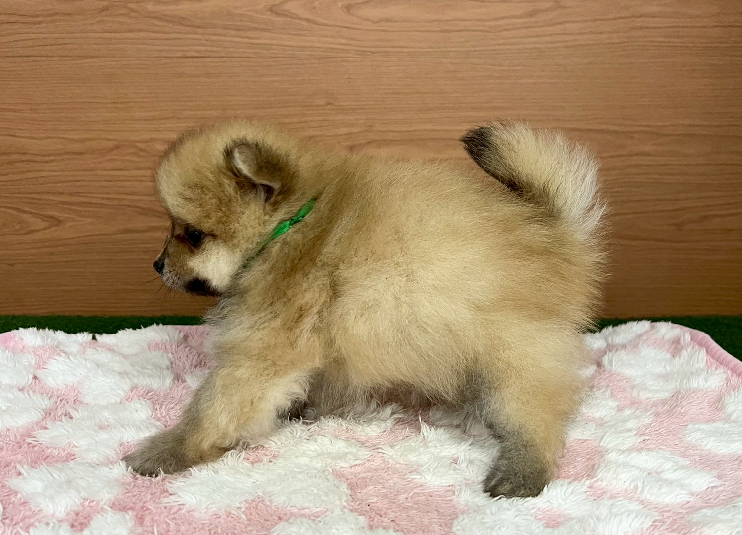 赤ちゃん写真3-2